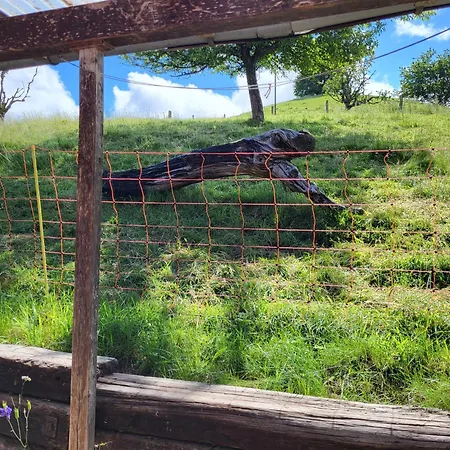 Alpesi faház Im Gruenen