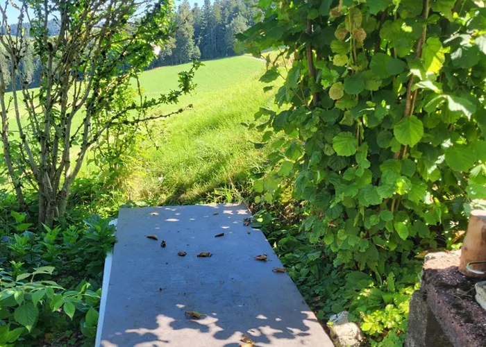 Im Gruenen
